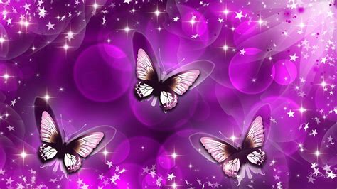 Purple Butterfly Wallpaper Border