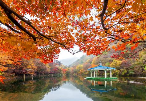 Amwtour Travel Blog 9 Tempat Wisata Di Korea Yang Bagus Dinikmati Untu