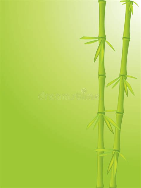Bambou Illustration En Bambou Verte De Vecteur Sur Le Fond Vert Clair