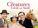 Watch All Creatures Great and Small, Christmas Specials | Prime Video