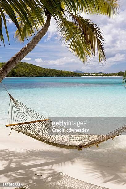 Tropical Beach With Hammock And Palm Trees Photos And Premium High Res Pictures Getty Images
