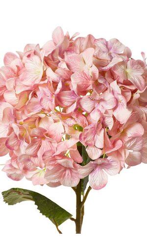 44 single giant silk hydrangea pink