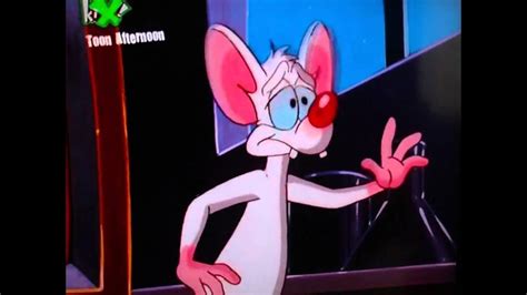 107 pinky and the brain facts you should know! Pinky Says Yippie NARF! - YouTube