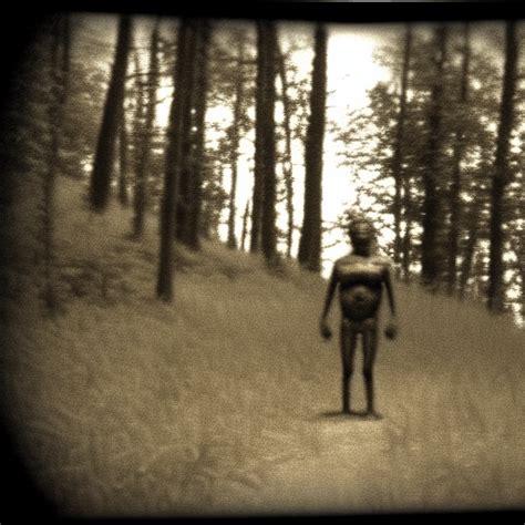 Real Photo Humanoid Cryptid Found Footage Trailcam Sepia Rare