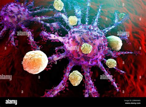 T Cell Attacking Cancer Hi Res Stock Photography And Images Alamy