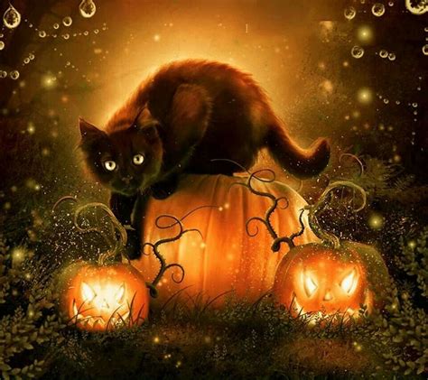 Gypsy Moons Enchanted Chronicles Halloween Pictures Halloween Wall
