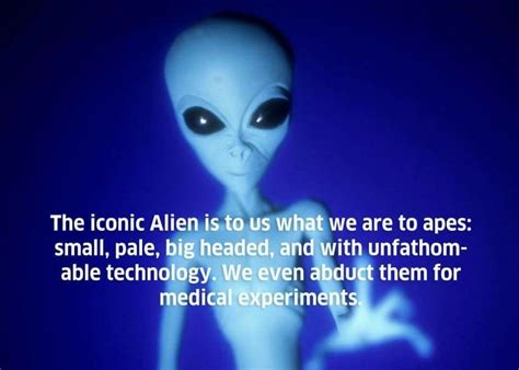 Pin By Laurie Herndon On Aliens Ancient Alien Possibilities Fun