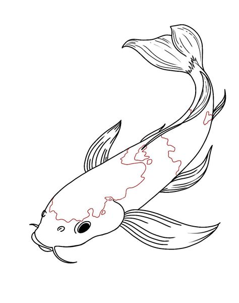 Koi are a large colorful variety of the fish known as the carp. How To Draw Koi Fish Step 9 #KoiFishPonds | Koi fish ...
