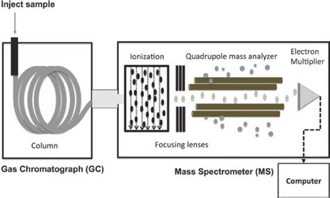 The gas chromatography (gc) portion separates the chemical mixture into pulses of pure chemicals and the mass spectrometer (ms) identifies and quantifies the chemicals. Gas Chromatography - Mass Spectrometry | Global Events ...