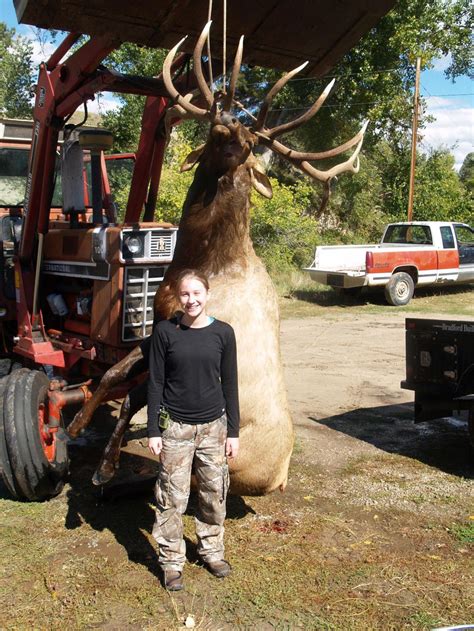 14 Year Old Girl May Have Shot State Record Elk In Nebraska Outdoor Board