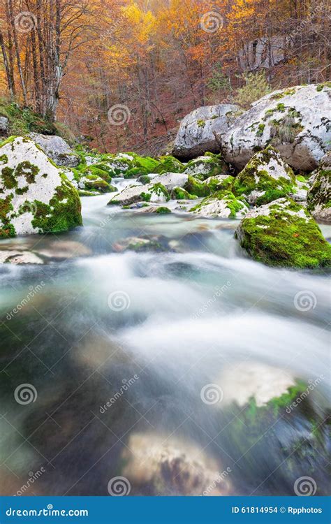 Mountain Stream In Autumn Julian Alps Italy Stock Photo Image Of