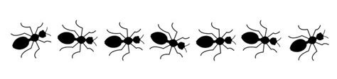 Ant Clipart 4 Clipartix