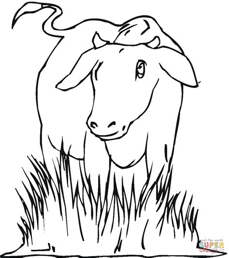 Dibujo De Vaca En Las Pasturas Para Colorear Dibujos Para Colorear Imprimir Gratis