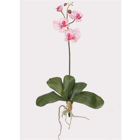 Mini Phalaenopsis Silk Orchid Flower Wleaves 6 Stems