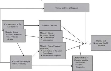 Figure 1 From Diving Into Minority Stress Theory Within The Lgbtq Community Semantic Scholar