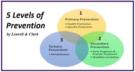 5 Level Of Prevention By Leavell And Clark Devehealth