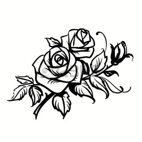 Rose Outline Drawings Clipart Best