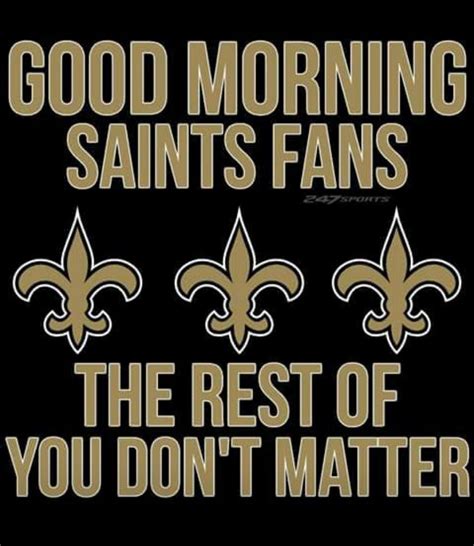 Nfl Saints Saints Memes New Orleans Saints Football All Saints Day