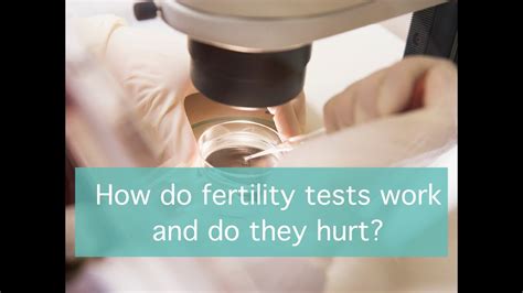 How Do Fertility Tests Work And Do They Hurt Youtube