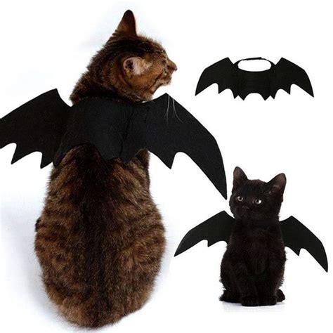 Cute Halloween Cat Costume