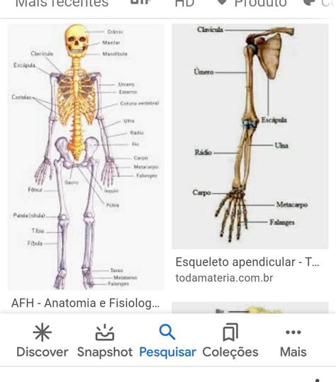 Esquema Do Esqueleto Humano Com O Nome De Todos Os Ossos Brainly Com Br