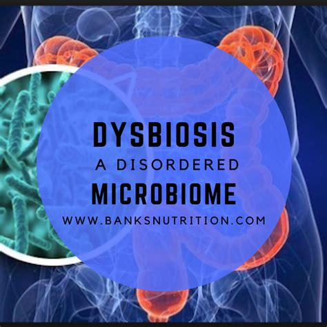 Dysbiosis A Disordered Microbiome