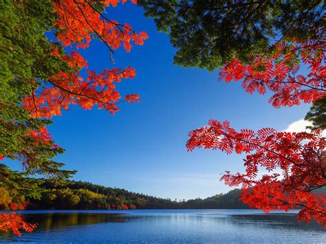 Autumn Fall Lake Wallpapers Hd Desktop And Mobile Backgrounds