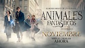 ANIMALES FANTÁSTICOS Y DÓNDE ENCONTRARLOS - Trailer 3 - Oficial Warner ...