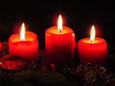 Free Images Flower Red Holiday Candle Lighting Decor Christmas