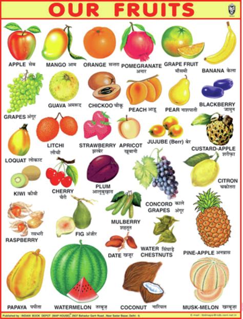 20 Fruits And Vegetables Chart Pictures Free Coloring Pages