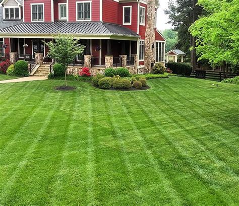 Richmond Virginias Hassle Free Lawn Care Company