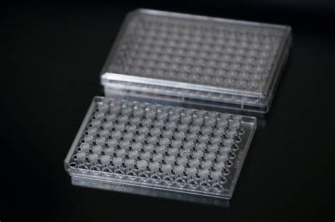 Well Transwell Insert Plates Single Plate Biosurfaces