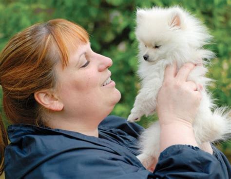 Pomeranian Dog Breeds Ultimate Guide 2020 Breeders Links