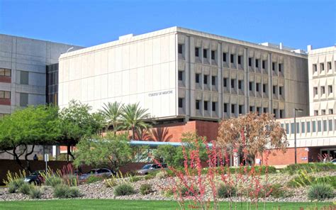 Ua Alumnus Leaves 88m To College Of Medicine Tucson Giving