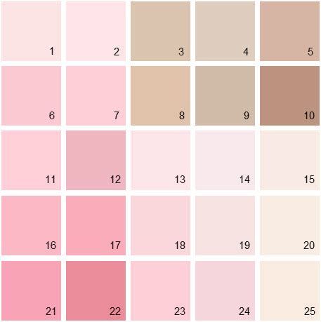 Perfect for your crafts room, home office or nursery. Benjamin Moore Pink House Paint Colors - Palette 05