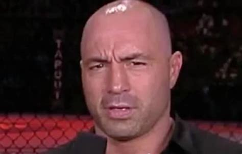 Joe Rogan Alludes To Crazy News About Ronda Rousey