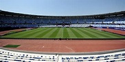Boris Paichadze Dinamo Arena – StadiumDB.com