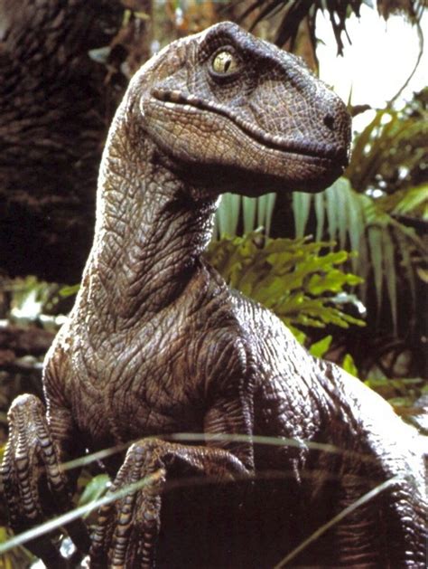 Profile Velociraptor Jurassic Park Jurassic Park World Jurassic