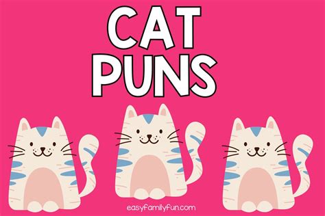 160 Awesome Cat Puns Are Purr Fect