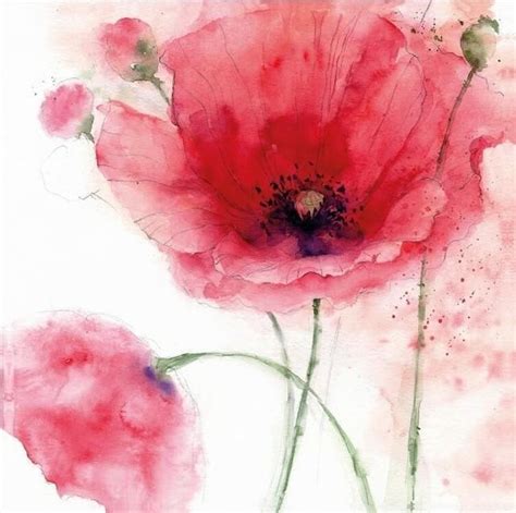 Canvas Fine Art Prints Watercolor Floral Watercolor Flowers Floral