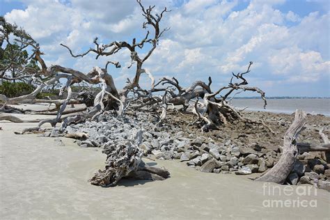 Cloudy Skies Over Jekyll Photograph By Katherine W Morse Fine Art America