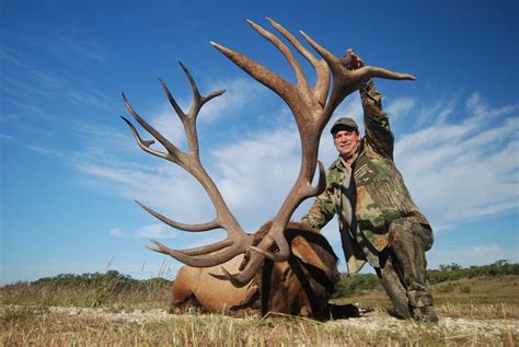 Elk 507 507 Sci Official World Record Handgun Bull Elk 20 Flickr