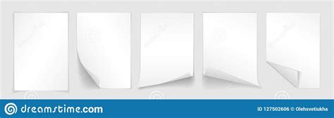 Blank A4 Sheet Of White Paper With Curled Corner And Shadow Template