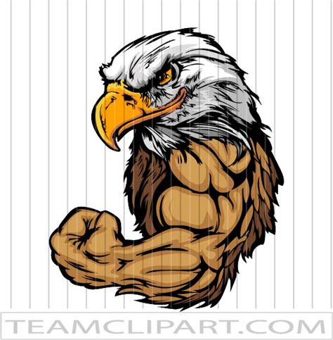 Strong Eagle Cartoon Easy To Edit Vector Images Eps  And Png