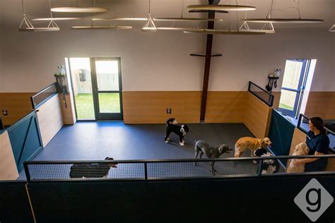 A Look Inside: Yardstick Dog Hotel | Nashville Guru