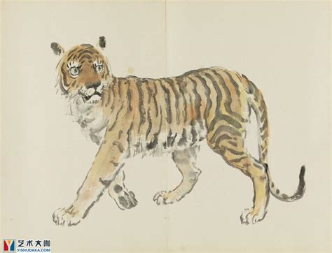 Tiger Chinese Zodiac Tiger Year Of The Tiger Classic Chinese Painting