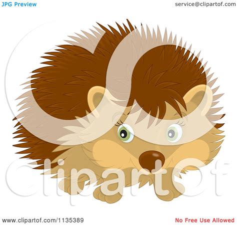 Cartoon Of A Cute Hedgehog Royalty Free Vector Clipart
