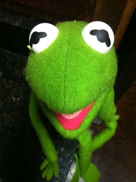 Kermit The Frog Archives Living A Disney Lifeliving A Disney Life