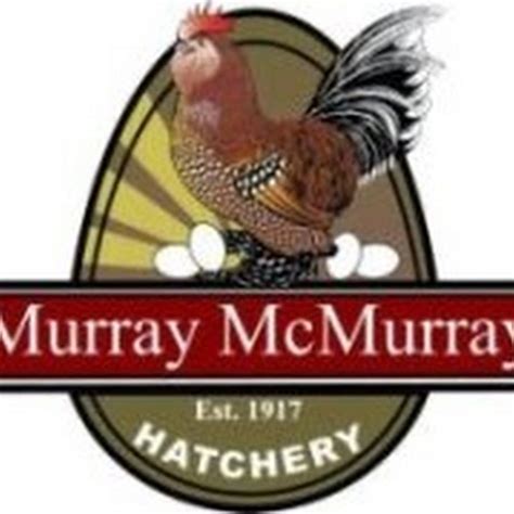 Murray Mcmurray Chicken Hatchery The 2021 Murray Mcmurray Hatchery Catalog Is Done And In The