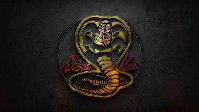Cobra Kai Wallpapers Backgrounds Season Fanart 1080